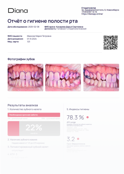 DIANA — отчёт об уровне гигиены и визуализация налёта